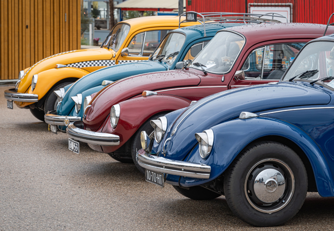 Revizii Volkswagen Brasov 1